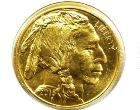 Buffalo 1 Ounce US $50