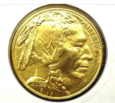 Buffalo 1 Ounce – US $50